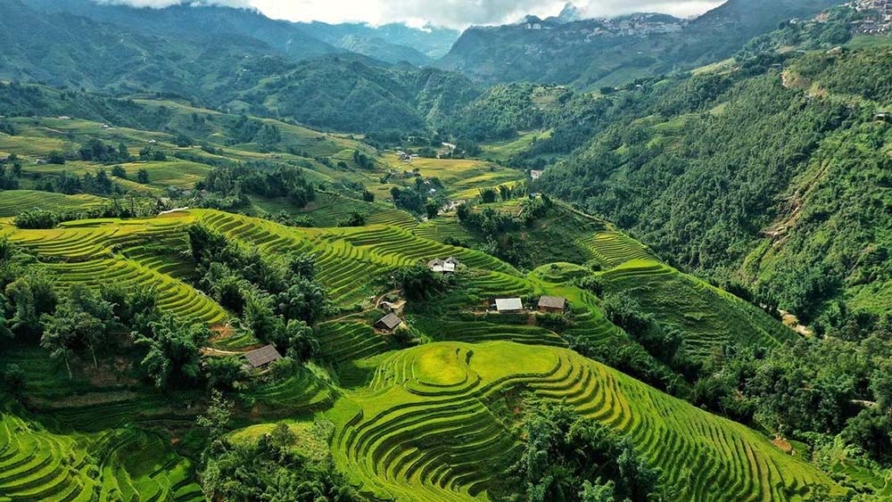 Ban Ho Village - Villages in Sapa